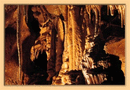 No. 39 - Javoříčské jeskyně